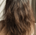 Frizz & Dryness