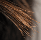 Split Ends & Breakage